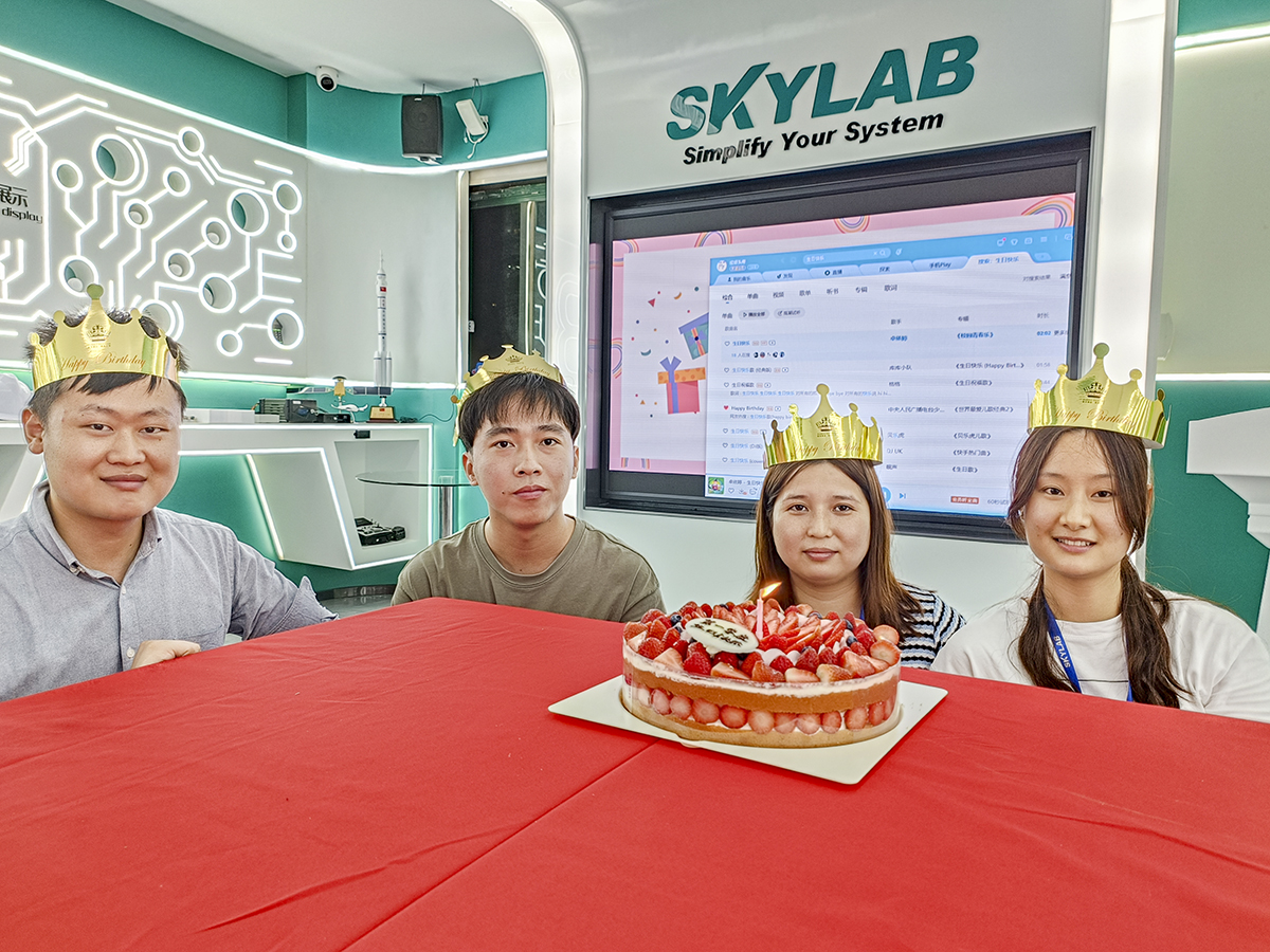 赴一场春日之约|SKYLAB 2023年第一季度生日会、迎新会